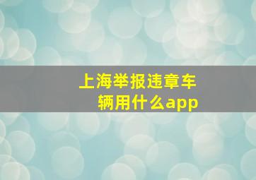 上海举报违章车辆用什么app