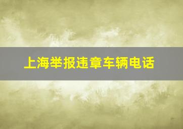 上海举报违章车辆电话