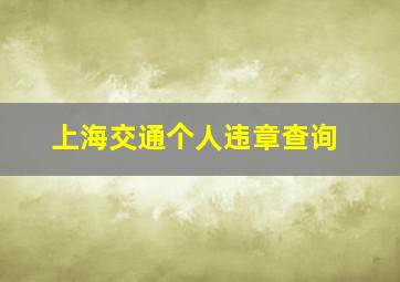 上海交通个人违章查询