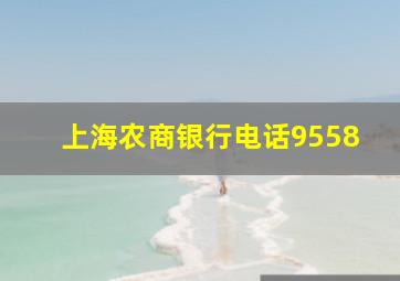 上海农商银行电话9558