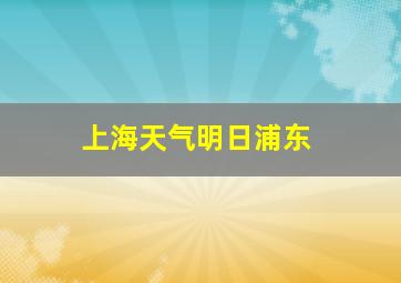 上海天气明日浦东