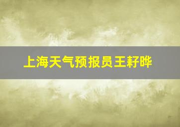 上海天气预报员王耔晔