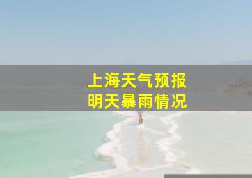 上海天气预报明天暴雨情况