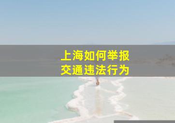 上海如何举报交通违法行为