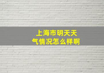 上海市明天天气情况怎么样啊