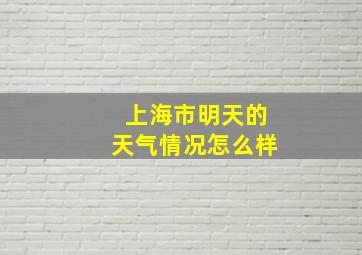 上海市明天的天气情况怎么样