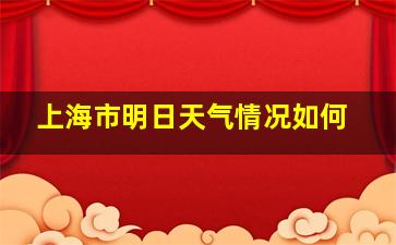 上海市明日天气情况如何