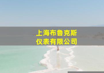 上海布鲁克斯仪表有限公司