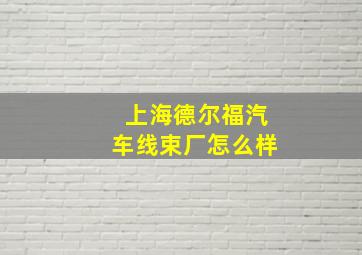 上海德尔福汽车线束厂怎么样