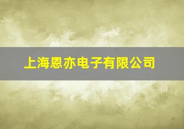 上海恩亦电子有限公司