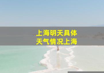 上海明天具体天气情况上海