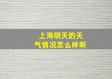 上海明天的天气情况怎么样啊