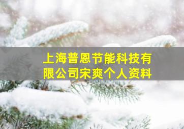 上海普恩节能科技有限公司宋爽个人资料