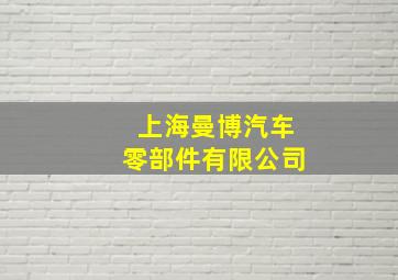 上海曼博汽车零部件有限公司