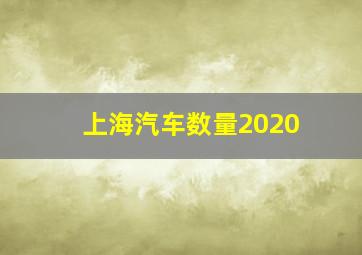 上海汽车数量2020