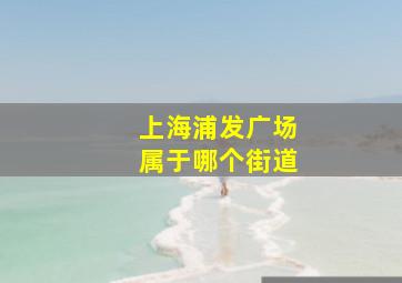 上海浦发广场属于哪个街道