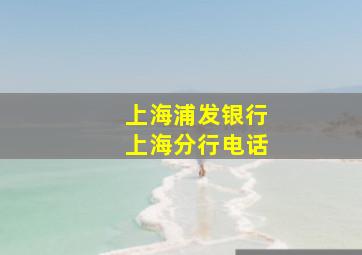 上海浦发银行上海分行电话