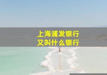 上海浦发银行又叫什么银行