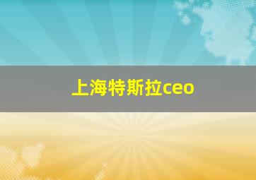 上海特斯拉ceo