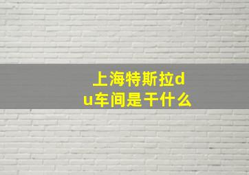 上海特斯拉du车间是干什么