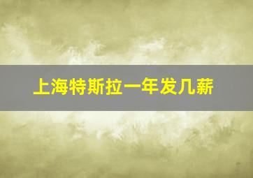 上海特斯拉一年发几薪