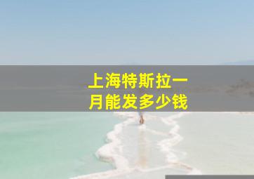 上海特斯拉一月能发多少钱