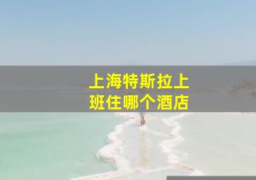 上海特斯拉上班住哪个酒店