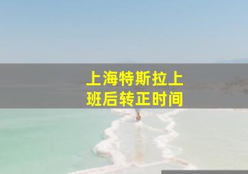 上海特斯拉上班后转正时间