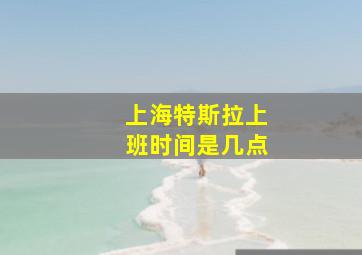 上海特斯拉上班时间是几点