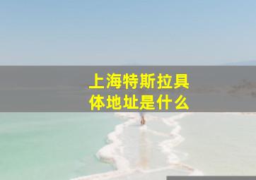 上海特斯拉具体地址是什么