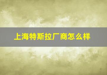 上海特斯拉厂商怎么样