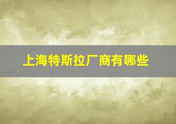 上海特斯拉厂商有哪些