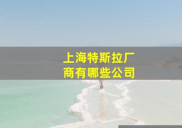 上海特斯拉厂商有哪些公司