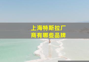 上海特斯拉厂商有哪些品牌