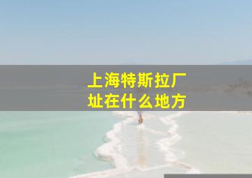 上海特斯拉厂址在什么地方