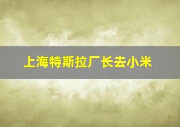 上海特斯拉厂长去小米