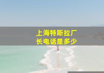 上海特斯拉厂长电话是多少