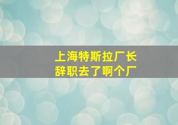 上海特斯拉厂长辞职去了啊个厂