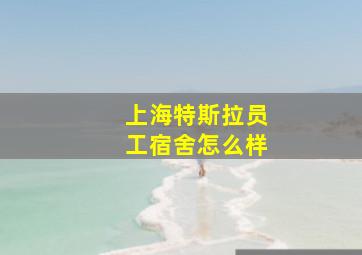 上海特斯拉员工宿舍怎么样