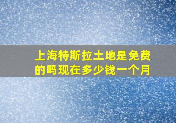 上海特斯拉土地是免费的吗现在多少钱一个月