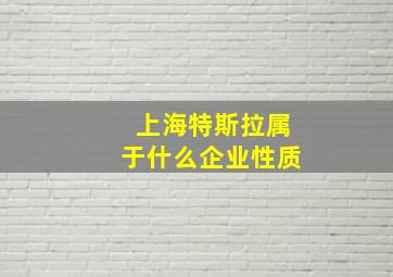 上海特斯拉属于什么企业性质