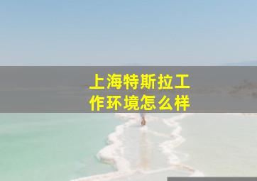 上海特斯拉工作环境怎么样