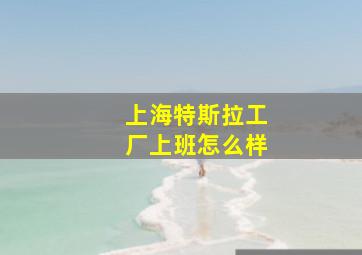 上海特斯拉工厂上班怎么样