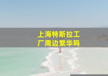 上海特斯拉工厂周边繁华吗