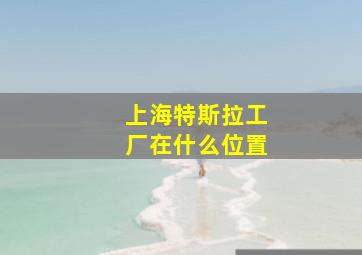 上海特斯拉工厂在什么位置