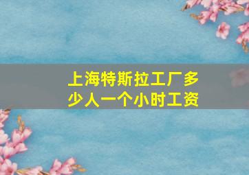 上海特斯拉工厂多少人一个小时工资