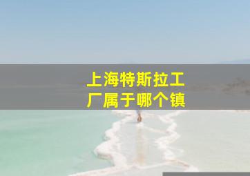 上海特斯拉工厂属于哪个镇