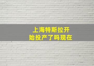 上海特斯拉开始投产了吗现在