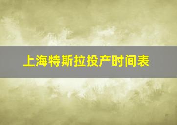 上海特斯拉投产时间表