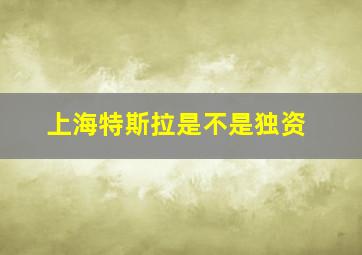 上海特斯拉是不是独资